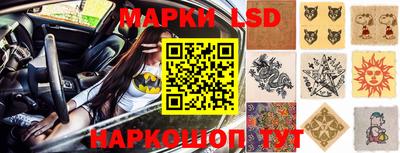 шишки Будённовск