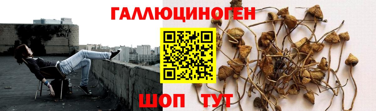 Галлюциногенные грибы MAGIC MUSHROOMS  Вход с VPN  Сергиев Посад 